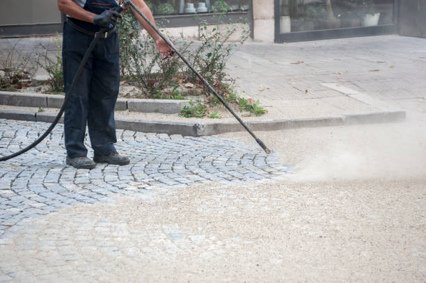Best Window and Screen Pressure Cleaning in New Albany, MS