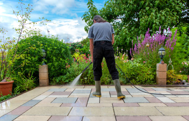 Best Brick and Stone Cleaning in New Albany, MS